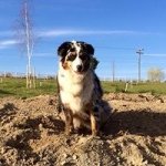 Profile Picture of Cindy McCartney (@mccartney519) on Instagram