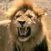 Profile Picture of Thomas Hackley (@thomas.hackley.3) on Facebook