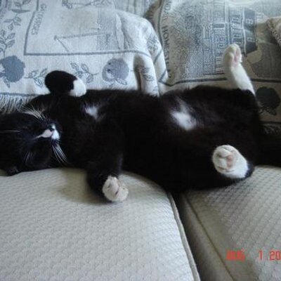 Profile Picture of Diesel Q. Bigules (@chuckutropolis) on Twitter