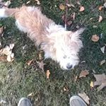 Profile Picture of chris woosley (@cwoosley6) on Instagram