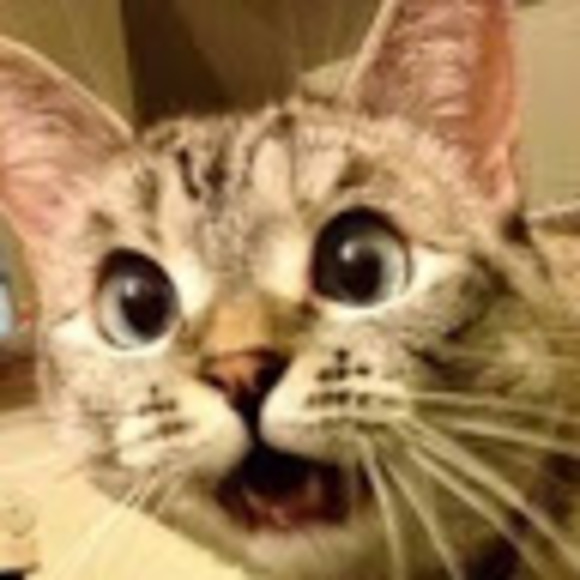 Profile Picture of Muyun Li (@muyunli) on Poshmark