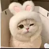 Profile Picture of James Bang (@james.bang6) on Tiktok