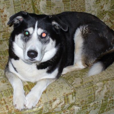 Profile Picture of James Sheehan Sr. (@jshee42974) on Twitter