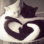 Profile Picture of Virginia Moore (@virginiagmoore1970) on Flickr