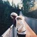 Profile Picture of Cindy Ryann (@cindyryann24556) on Pinterest