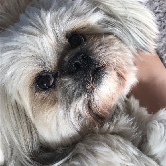 Frank Papenberg - Poshmark Profile Picture of Frank Papenberg (@pacman81) on Poshmark