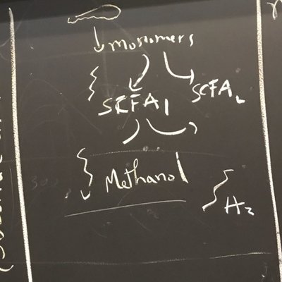 Profile Picture of Itzhak Mizrahi (@itzhak_mizrahi) on Twitter