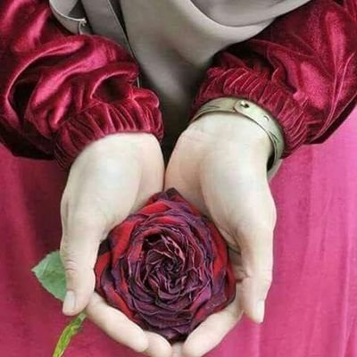 Profile Picture of Muhubo Ahmed (@ahmed_muhubo) on Twitter