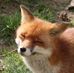 Profile Picture of Adam Harris (@adam.harris.790) on Facebook