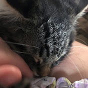 Profile Picture of Hazel Holt (@HazelHolt-v9p) on Youtube