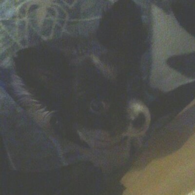 Profile Picture of Tony Tyree (@AntwonsDadTony) on Twitter