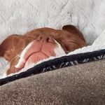 Profile Picture of Barbara Decker (@barbaradecker886) on Instagram