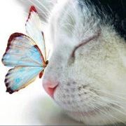 Profile Picture of Anne Allégroz (@anneallegroz) on Pinterest