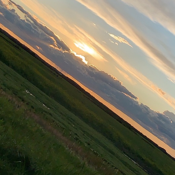 Profile Picture of Mady Myshak (@mmysh156) on Poshmark