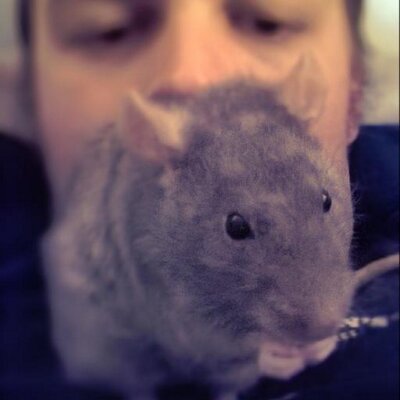 Cole Arthur - Twitter Profile Picture of Cole Arthur (@merrykingcole) on Twitter