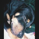 Profile Picture of Mike da Mata (@mike_mata1) on Instagram