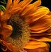 Profile Picture of Mauricio Jimenez (@mauricio.jimenez.75491) on Facebook