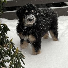 Profile Picture of Mary (@maryearnest38) on Tiktok