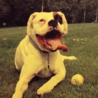 Profile Picture of Michael Dennis (@michael-dennis-268) on Quora