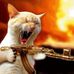 Profile Picture of Alexander Zimmer (@alexander.zimmer.5855) on Facebook