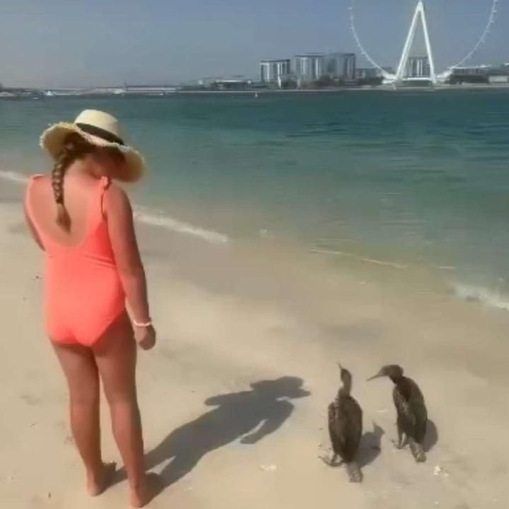 Profile Picture of Jolanta.Etzler (@reichmjqdef) on Tiktok