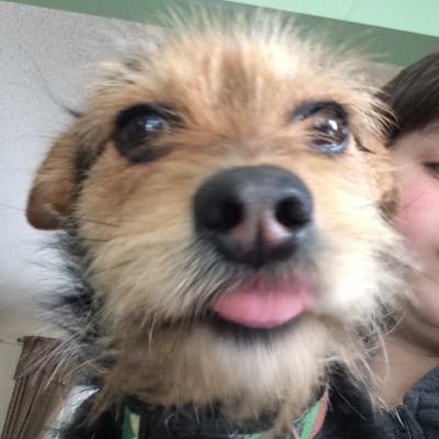 Profile Picture of Richard McGuire (@Richard_Mc_G) on Twitter