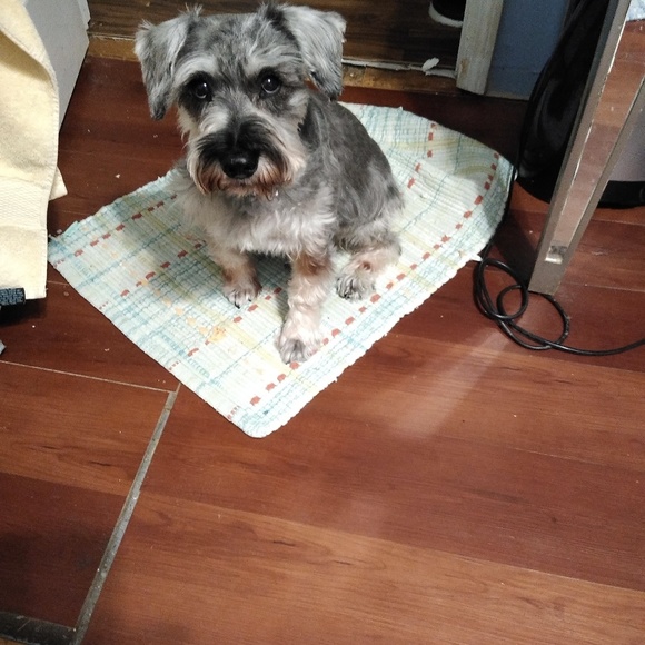 Profile Picture of Joyce Surber (@j1500) on Poshmark