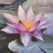 Profile Picture of Yichen Li (@nehciy1) on Pinterest