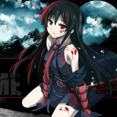 Profile Picture of Logan Nunes (@BlonkaCronk) on Twitter