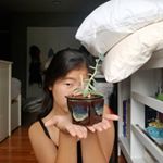 Profile Picture of haley kim (@haleynkim) on Instagram