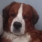 Profile Picture of Daniel Janczak (@Daniel-Janczak) on Facebook