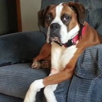 Profile Picture of Carroll Ramseyer (@carroll-ramseyer) on Quora