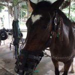 Mari Tanaka - Instagram Profile Picture of Mari Tanaka (@comariannchann) on Instagram