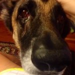 Profile Picture of Katra (@katara.picone) on Instagram