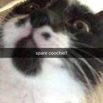 Profile Picture of Nicholas Malone (@nmalone_55) on Instagram