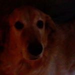 Profile Picture of Keith Mackinnon (@keithm614) on Instagram