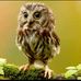 Profile Picture of Joseph DeVita (@joseph.devita.5667) on Facebook