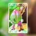 Profile Picture of Martin Hsu (@martin.hsu.7773) on Facebook