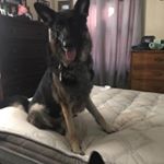 Profile Picture of Axel Kay Busshardt (@axelkaybusshardt) on Instagram