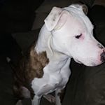 Profile Picture of Richard LeDoux (@richard.ledoux.758) on Instagram