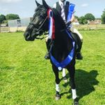 Profile Picture of Leo Carroll (@ldc_equestrian_2018) on Instagram