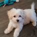 Profile Picture of Nancy Grinstead (@nancy.grinstead.39) on Facebook