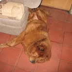 Profile Picture of Luka Tovar (@lukaguapo) on Facebook