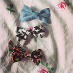 Profile Picture of Willard Campbell (@bullercorn) on Instagram