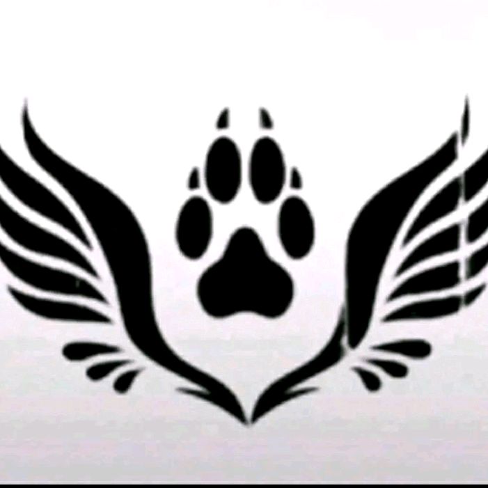 Profile Picture of Abrían y Carrasquillo (@abrihamyadriel) on Tiktok