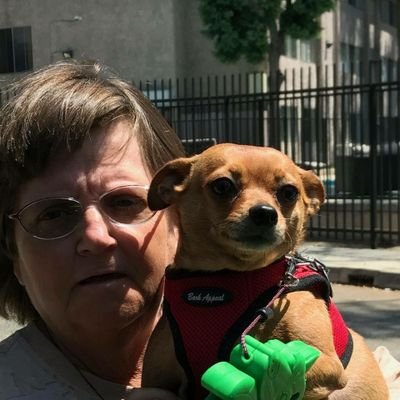 Profile Picture of Liz Lyons (@liz08rosie06) on Twitter