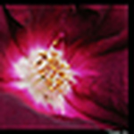 Profile Picture of Patrick Bryson (@Float n'away) on Flickr