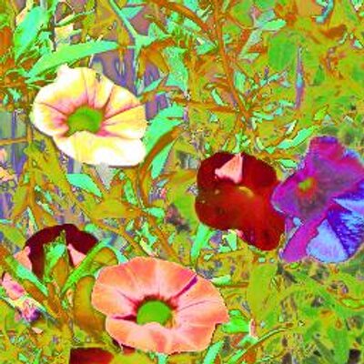 Brian Eddy - Twitter Profile Picture of Brian Eddy (@greener4est) on Twitter