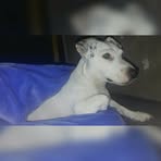 Profile Picture of Catherine Ferron (@catherine.ferron.5) on Facebook