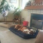 Profile Picture of Heidi Schauer Gamber (@heidigamber) on Instagram